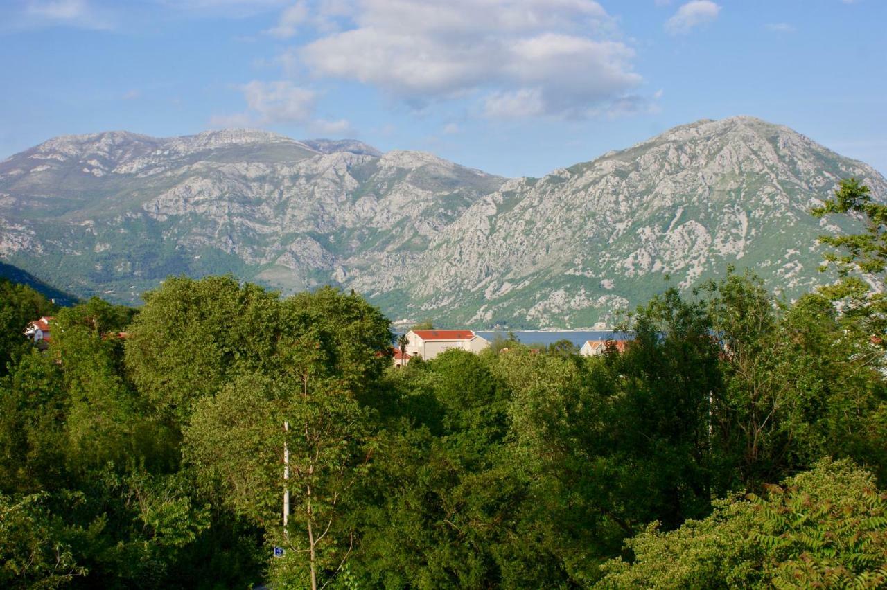 Studio Apartments Morinj Екстериор снимка